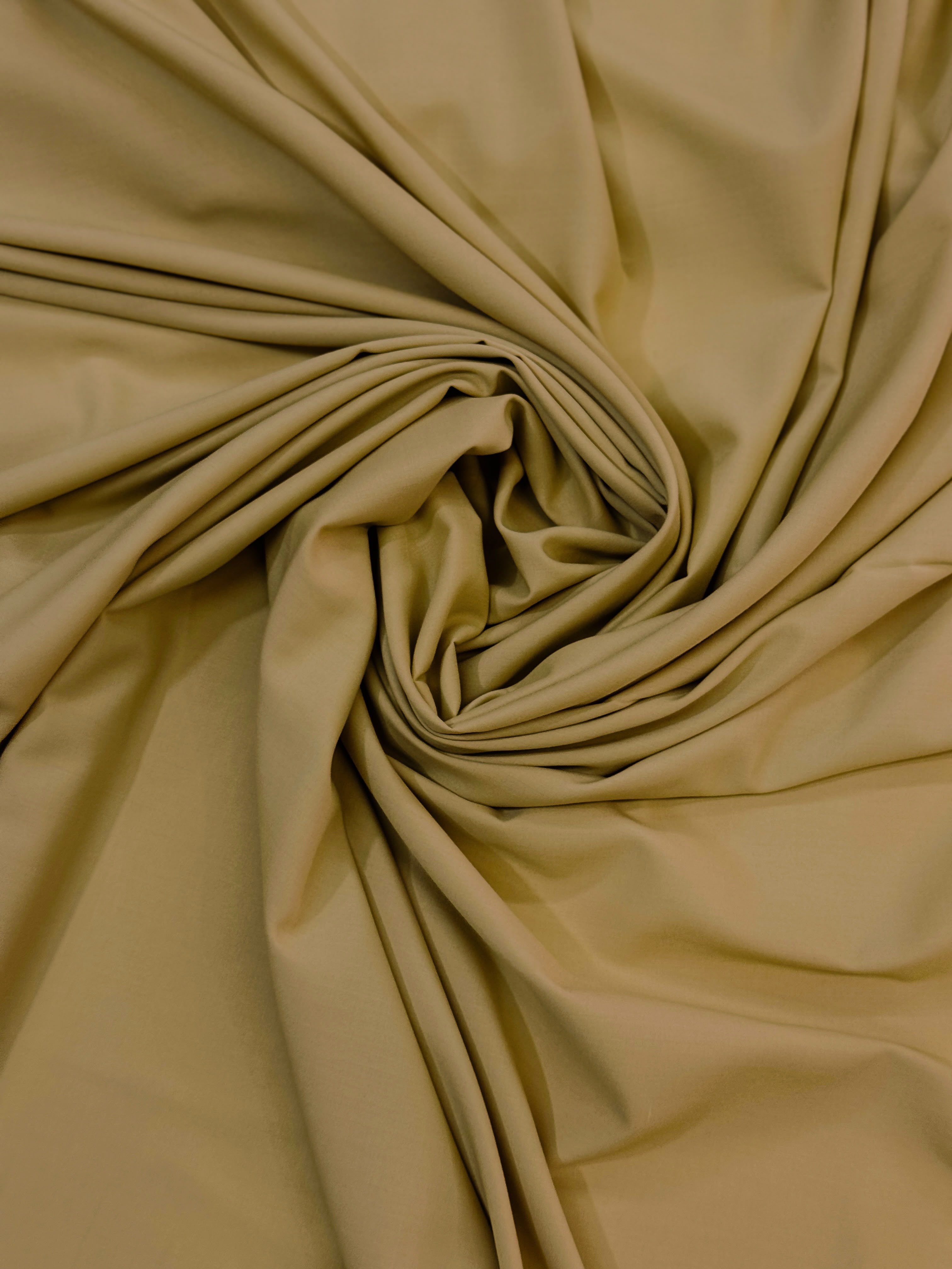 Golden Camel